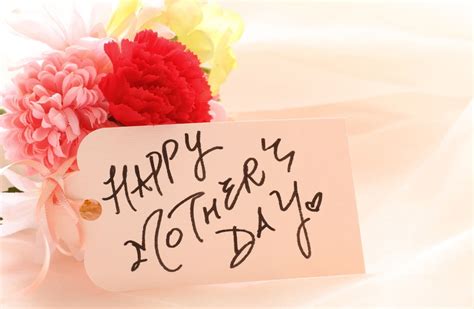 Mother’s Day Whatsapp Status Floral | Oppidan Library