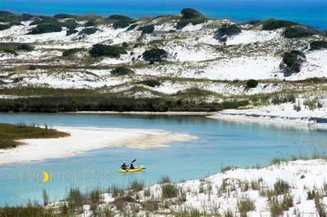 Pin by Suzanne Pierce on Beach Destinations | Grayton beach state park, Grayton beach florida ...