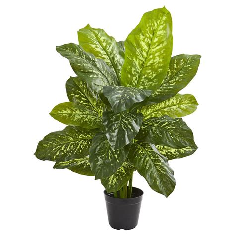 Nearly Natural Indoor 34 in. Dieffenbachia Artificial Plant-6339 - The ...