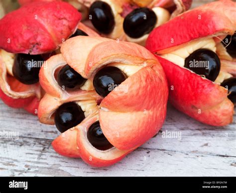 Ackee fruit hi-res stock photography and images - Alamy