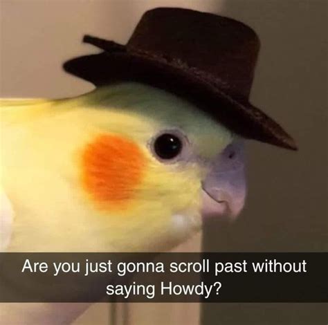 HOWDY PARTNER - Meme Guy