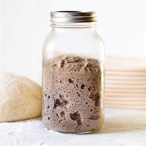 Sourdough Starter - Super easy with no discard! - A Virtual Vegan