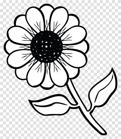 View 16 Flowers Clipart Black And White Transparent Background - basesimpletrendjibril