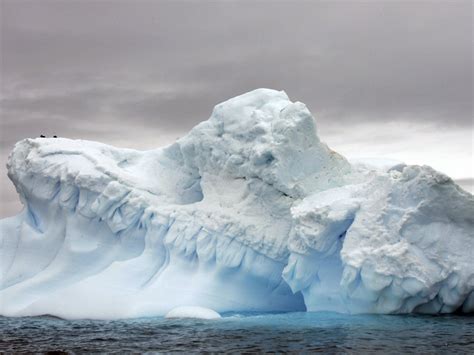 Glaciers in part of Antarctic thought to be stable suddenly melting at a massive rate, say ...