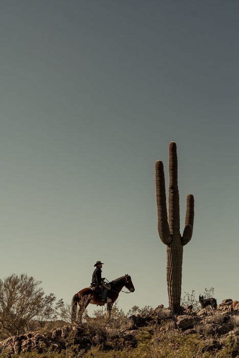 41 Western aesthetic ideas | western aesthetic, western wall art, western photography