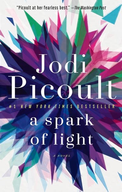 Jodi Picoult · A Spark of Light (2018)