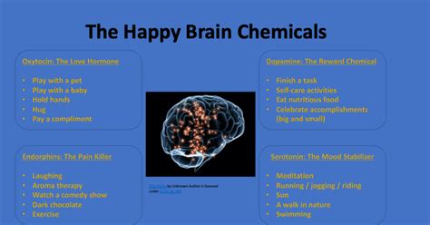 Happy brain chemicals: How they can make you a better professor or ...