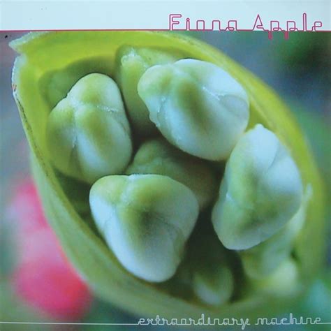 Fiona Apple — Extraordinary Machine (2023 Reissue) - The Record Centre