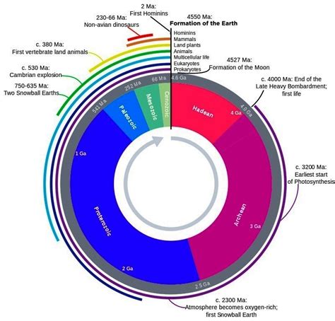 10 Interesting Facts About the Geological Time Scale