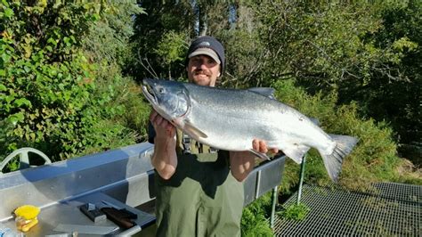 Kenai River Fishing Report - Jim Rusk Fishing Guide Alaska