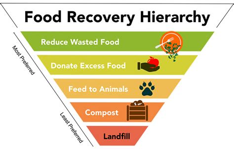 How to Stop Wasting Food for Good (10 Tips) - MESS BRANDS