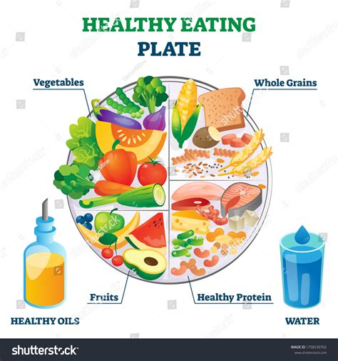 2,681,886 Healthy Eating Plate Images, Stock Photos & Vectors ...