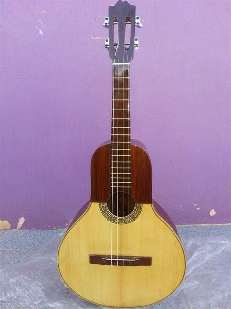 Bass of the lowlands bandola llanera | Music instruments, Venezuelan ...