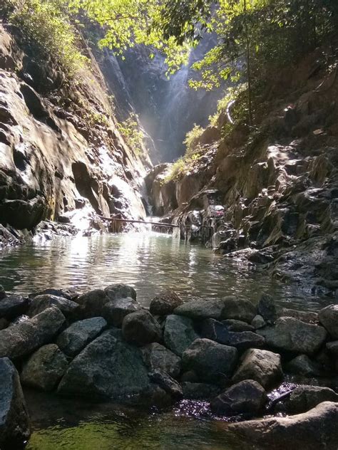 Hutan Lipur Gunung Pulai stock image. Image of gunung - 144589731