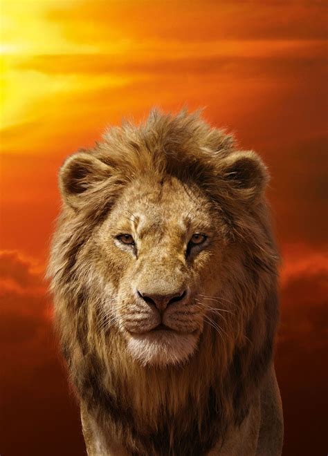 The Lion King (2019) | SIMBA textless by mintmovi3 on DeviantArt