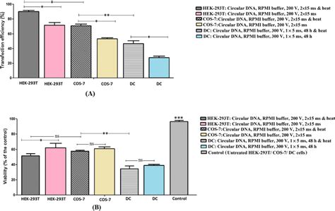 The transfection efficiency of plasmid DNA into HEK-293 T cells, COS-7 ...