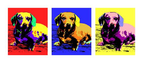 Dachshund Pop Art | ubicaciondepersonas.cdmx.gob.mx