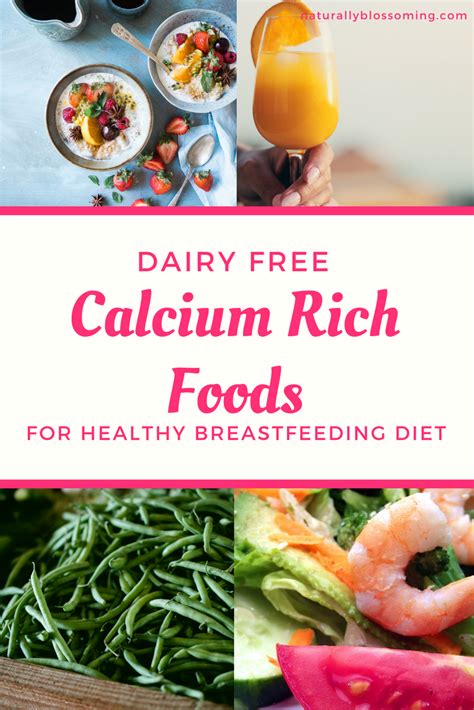 Calcium rich foods safe for pregnancy | Leti Blog