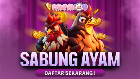 Apa Itu Sabung Ayam? Memahami Permainan Tradisional | by PAWPAW4D OFFICIAL | Medium