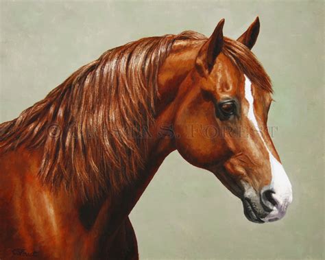 Crista Forest Equine Art - Horse Paintings and Prints