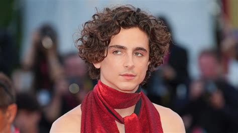 Timothée Chalamet Gay: Call Me By Your Name Star's Sexuality, Career ...