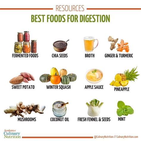 14 Best Foods for Digestion | Foods good for digestion, Food for digestion, Foods that help ...