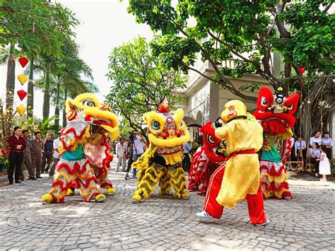 Tet Festival Vietnam 2025 - Lilly Pauline