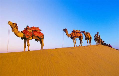 RAJASTHAN DESERT TOUR PACKAGES — TTAH - triptoasiaholidays.com