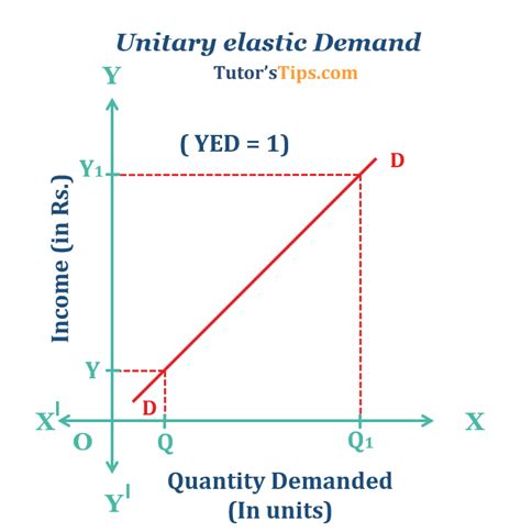 Income elasticity of demand and explained its types – Tutor's Tips