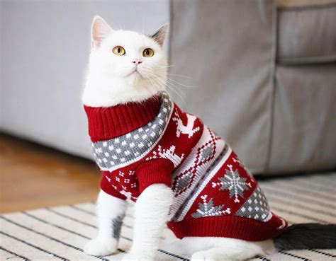 These Cat Cardigan Sweaters Are An Adorable Way To Keep You Kitty Cozy This Winter