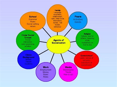 This image is a mind map of the areas that create socialisation. Under each key area there are ...