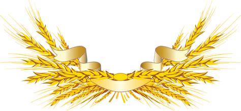 Download Wheat PNG Image for Free | Gold design background, Clip art, Ribbon logo