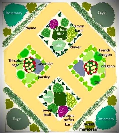 Herb garden plan... | Herb garden design, Culinary herbs, Planting herbs