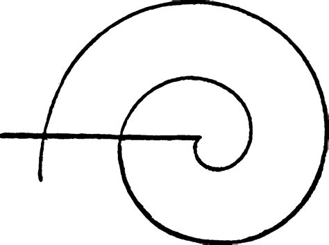 Spiral curve, vintage illustration. 13609755 Vector Art at Vecteezy