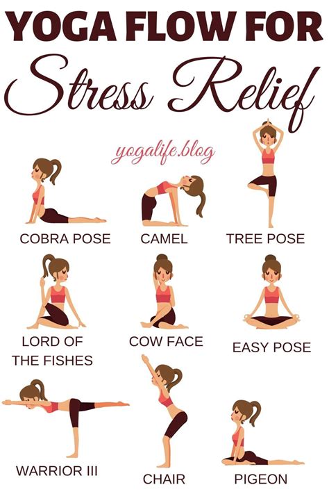 10 Easy Yoga Poses For Stress Relief in 2020 | Yoga workout routine, Yoga routine for beginners ...