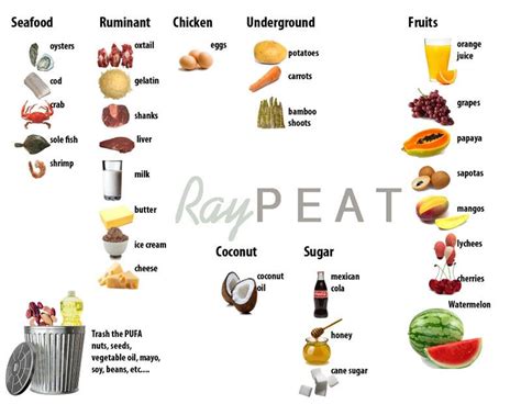 Ray Peat diet | Hypothyroidism diet recipes, Nutrition recipes, Hypothyroidism diet