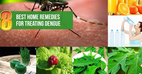 Best Home Remedies for Dengue Fever - Natural Remedies And Treatment