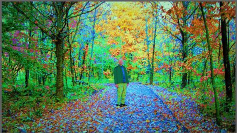 Painting Autumn In The Woods Painting by Susanna Katherine - Pixels