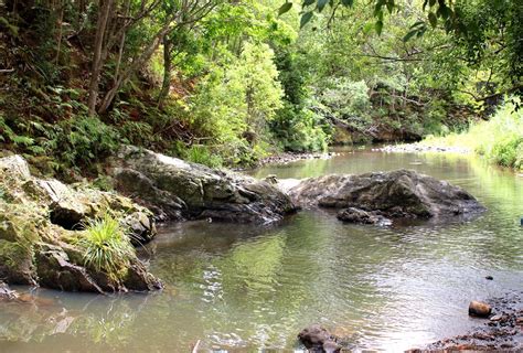 Currumbin Rock Pools | The Review | Brisbane Kids