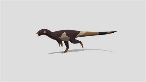 My newest Dinosaur called "Haya" in Low Poly Style. Do you like it? : r/Dinosaurs