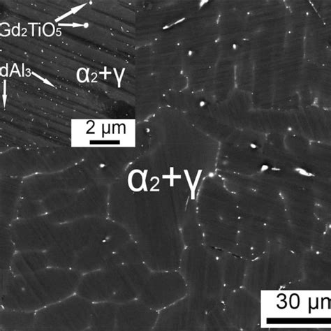 Microstructure of Ti–6Al–4V alloy at 1,223 K and 0.01 s⁻¹ | Download ...