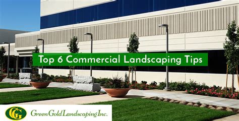 6 Commercial Landscaping Tips to Draw Your Customer's Attention