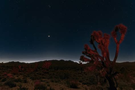 1920x1080px | free download | HD wallpaper: night, mojave desert, stars ...