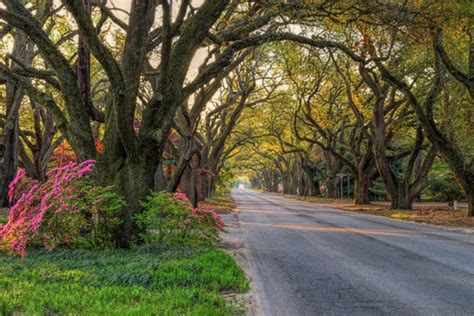 Aiken, SC: Four Southern Living "South's Best 2018" Awards - Woodside