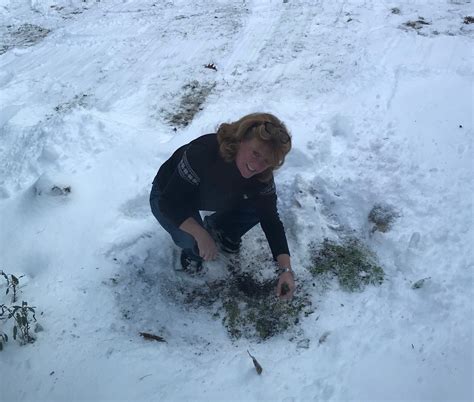 Winter Herb Harvest in December - Garden | Follow Ann