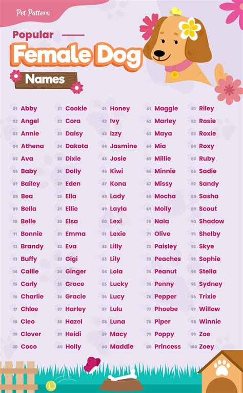 Female Dog Names (Unique, Cute and Popular Choices) | Female dog names, Girl pet names, Dog ...