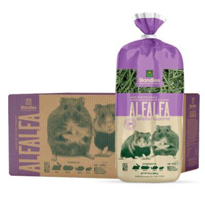 Standlee Hay Western Alfalfa Hay for Small Animals