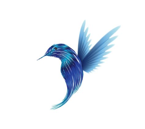 Hummingbird Logo on Behance