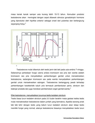 FUNGSI ENDOKRIN PADA SISTEM REPRODUKSI.pdf