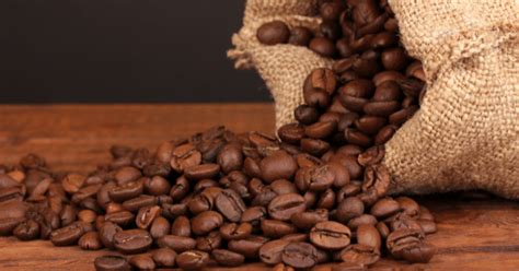 What Is Liberica Coffee? (Guide To The Rarest Type Of Beans)